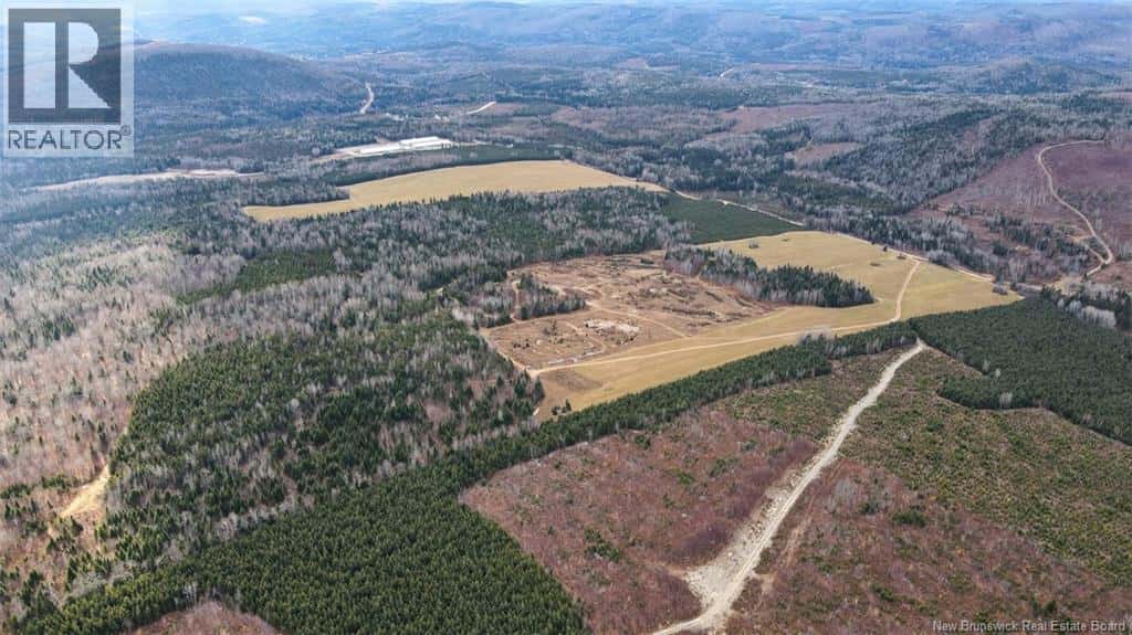 Lot Pinniquine Road — Baker Brook, New Brunswick - Photo 5 of 15