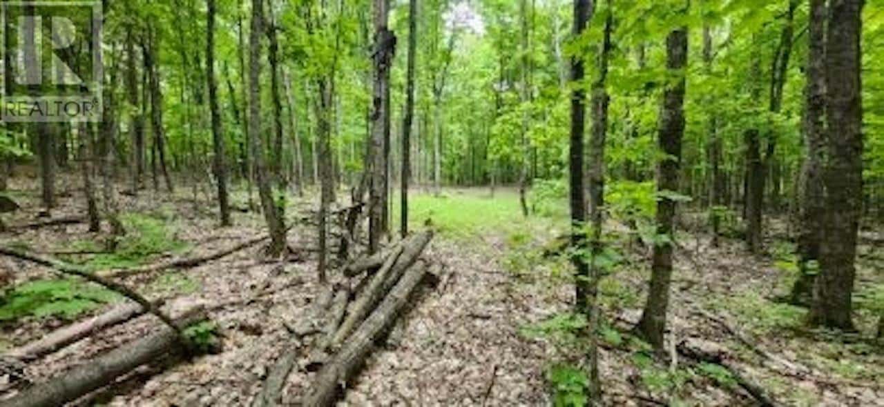 . South of East Line RD — Thessalon, Ontario - Photo 2 of 9