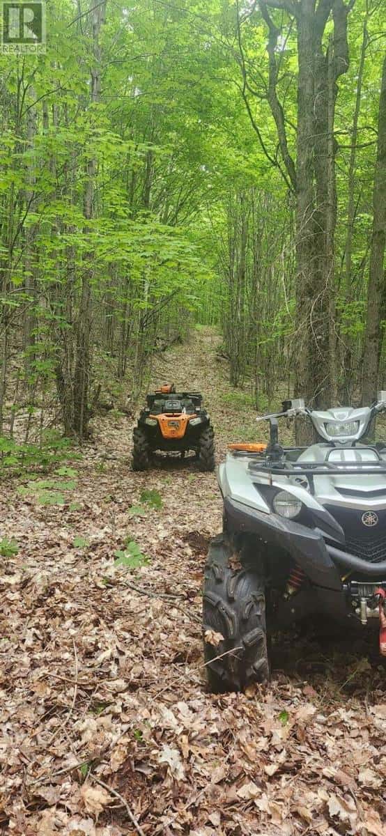 . South of East Line RD — Thessalon, Ontario - Photo 4 of 9