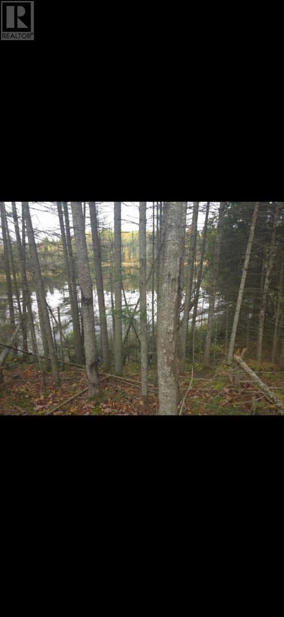 . South of East Line RD — Thessalon, Ontario - Photo 5 of 9