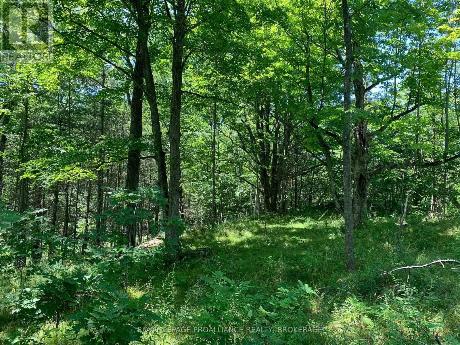 LOT 4 LEVEQUE ROAD — South Frontenac (Frontenac South), Ontario - Main photo