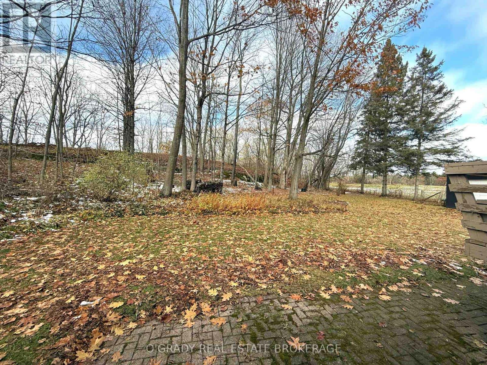 1426 MCDONALD ROAD — Elizabethtown-Kitley, Ontario - Photo 3 of 30