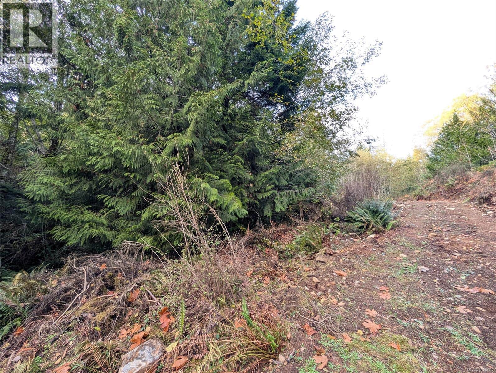 Lot 18 Eagle Dr - Photo 3 of 16, Shawnigan Lake, British Columbia