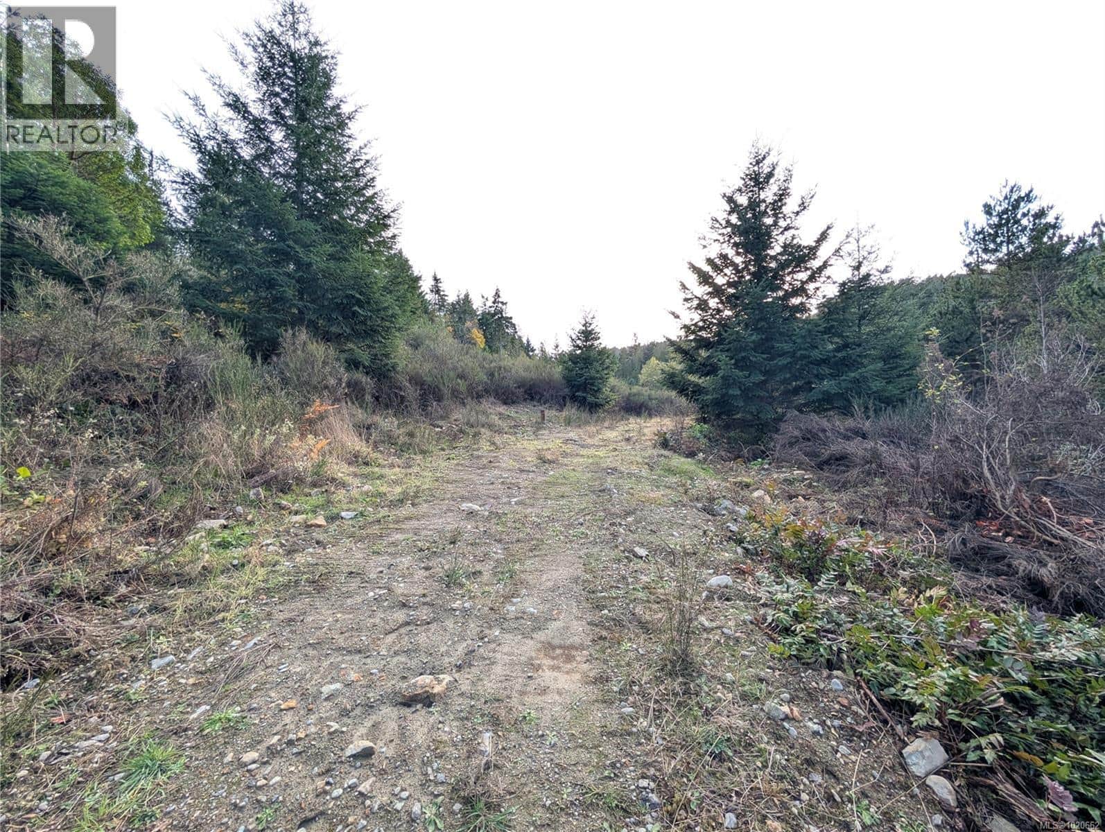 Lot 18 Eagle Dr - Photo 5 of 16, Shawnigan Lake, British Columbia