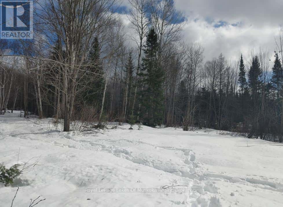 24 SETTLERS ROAD — Nipissing, Ontario - Photo 2 of 16