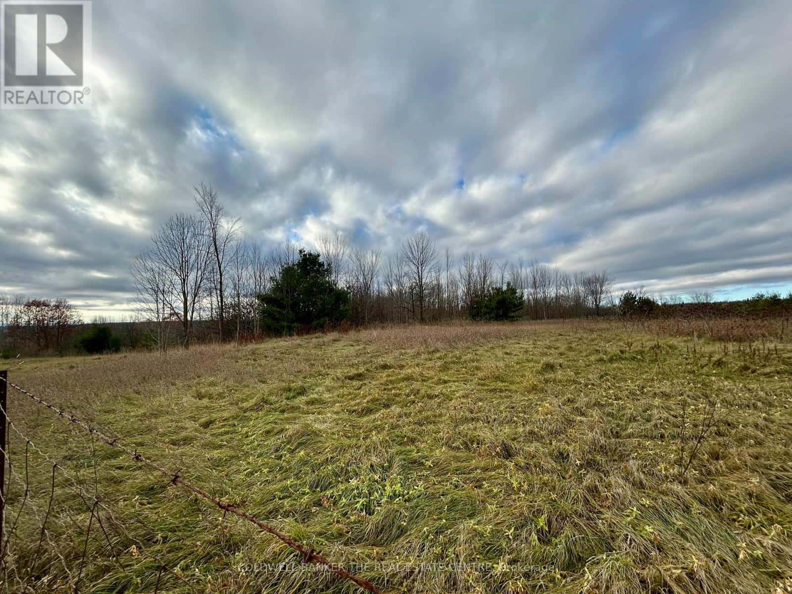 4056 HORSESHOE VALLEY ROAD W — Springwater, Ontario - Photo 3 of 7