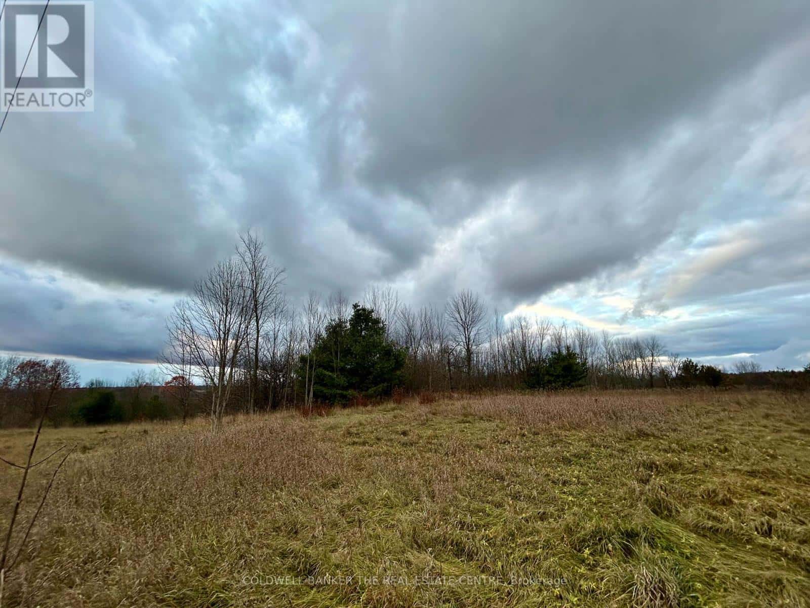 4056 HORSESHOE VALLEY ROAD W — Springwater, Ontario - Photo 4 of 7