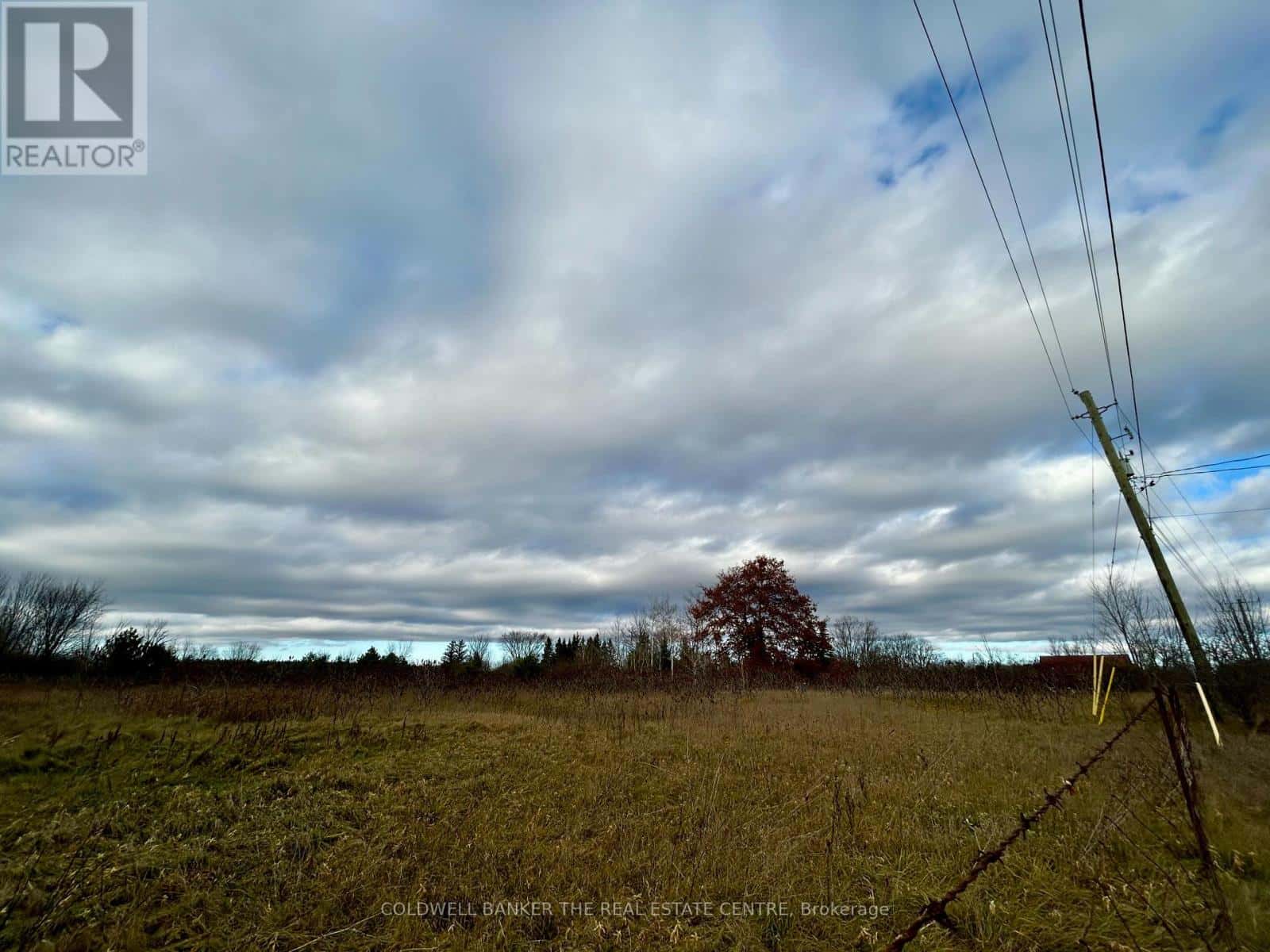 4056 HORSESHOE VALLEY ROAD W — Springwater, Ontario - Photo 5 of 7