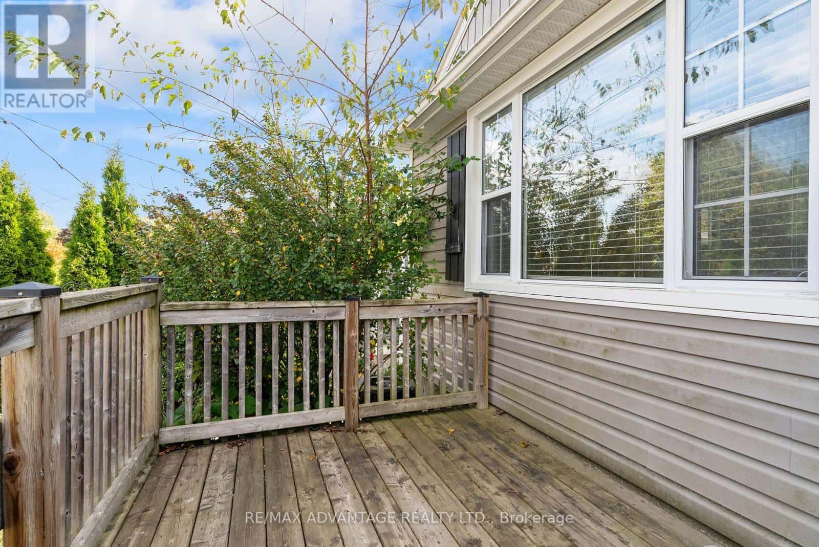 555 CHESTER STREET — London South (South G), Ontario - Photo 4 of 45