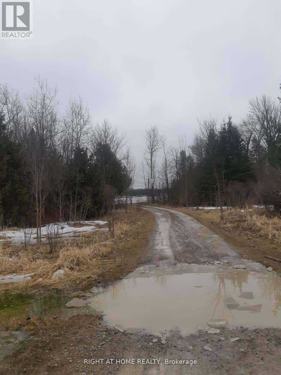 208 MCGUIRE BEACH ROAD — Kawartha Lakes (Carden), Ontario - Photo 2 of 14