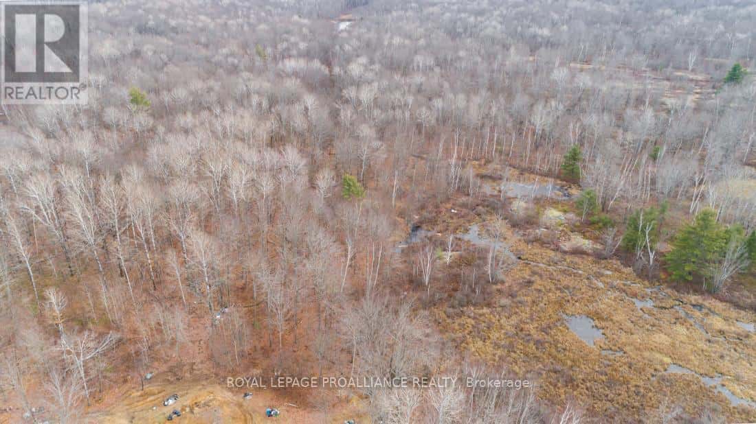 1446 FLINTON ROAD — Tweed (Elzevir (Twp)), Ontario - Photo 3 of 21