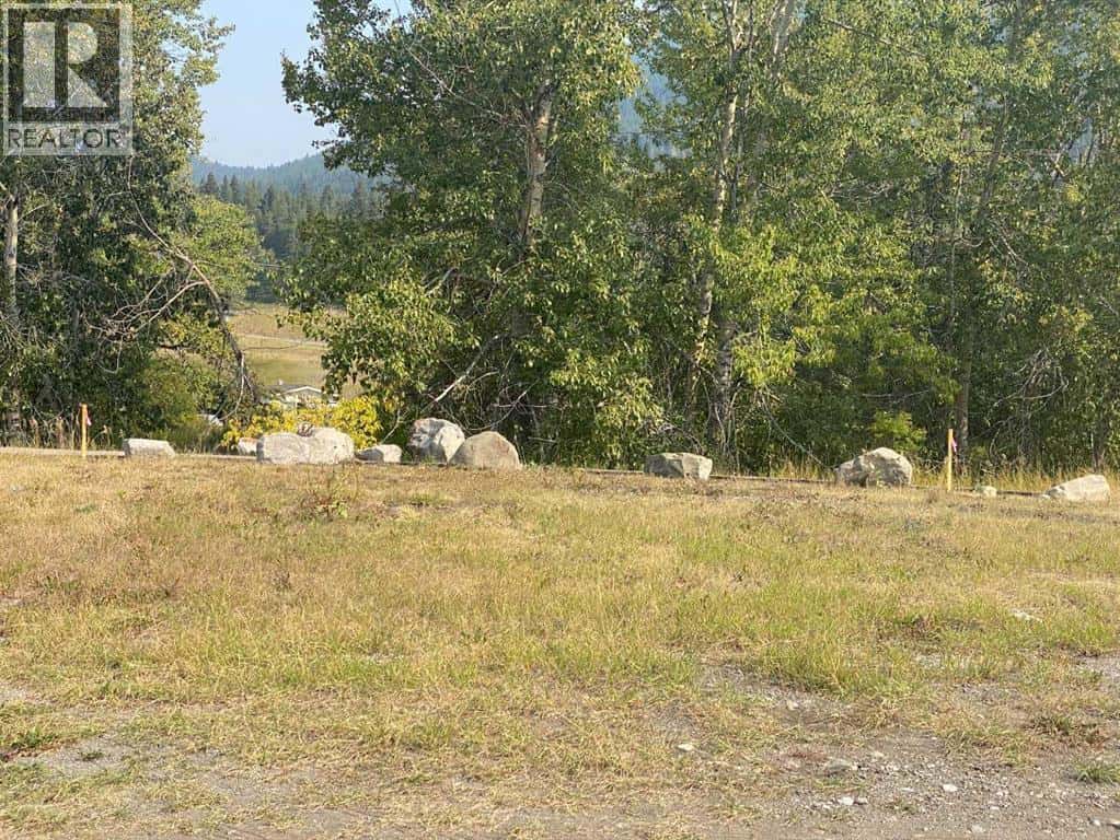 2131 (Unit 1) 128 Street — Blairmore, Alberta - Photo 3 of 8