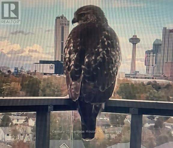 1001 - 7711 GREEN VISTA GATE — Niagara Falls (Oldfield), Ontario - Photo 5 of 50