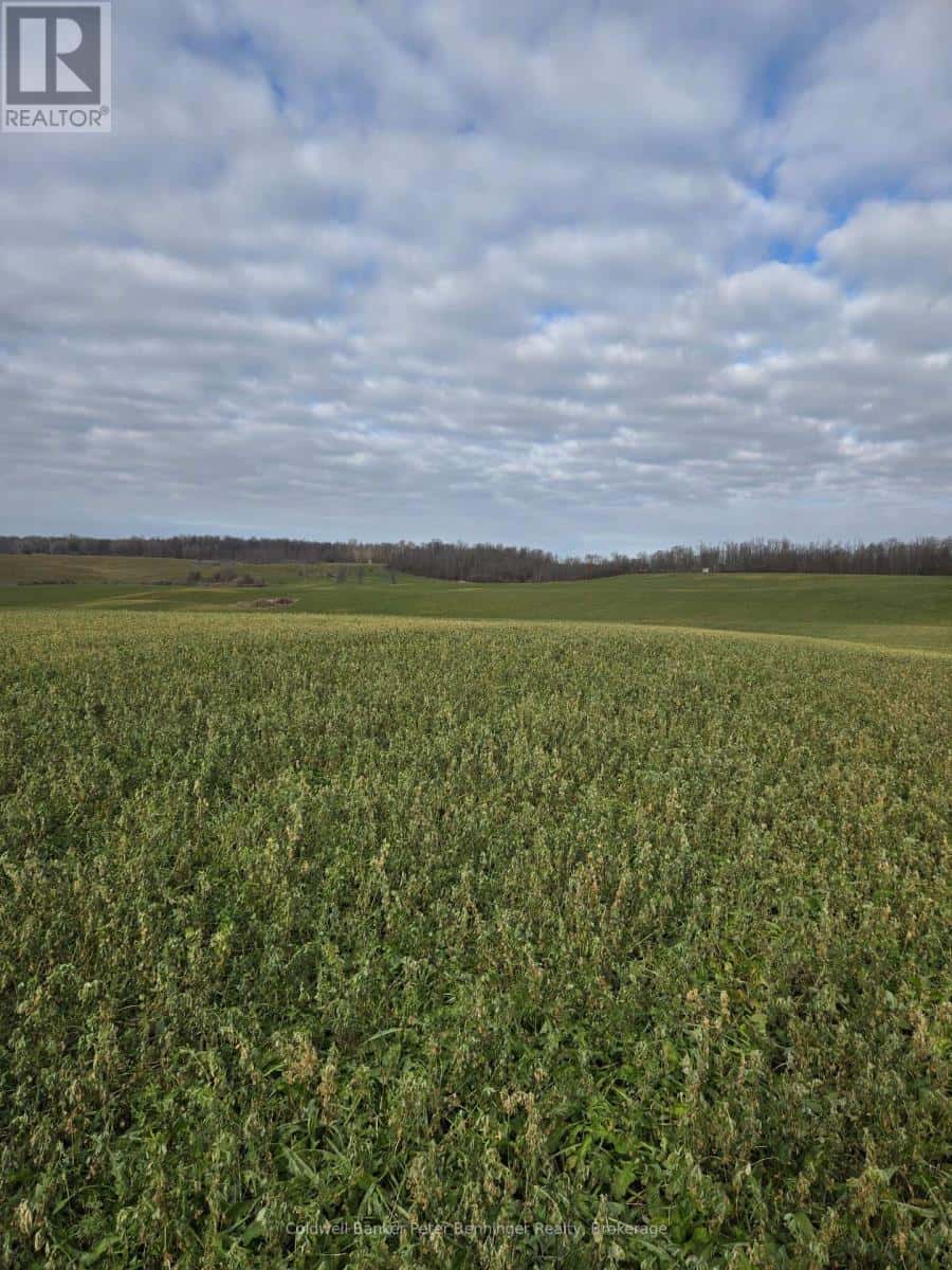 Brant Elderslie Townline