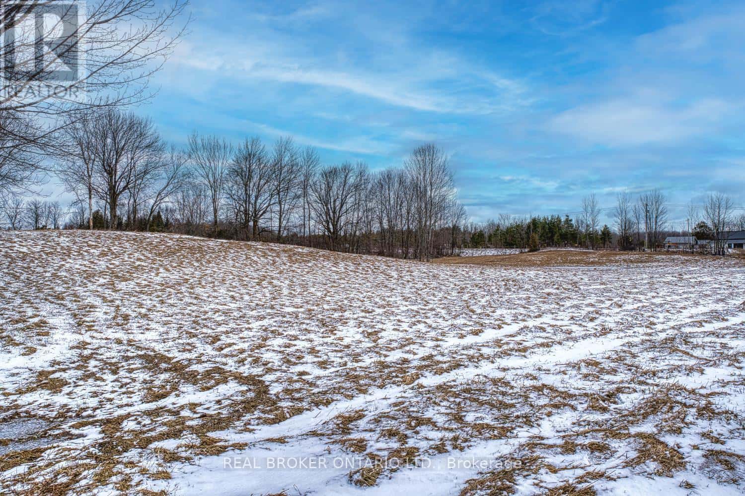 316486 6 HIGHWAY — Chatsworth, Ontario - Photo 4 of 26