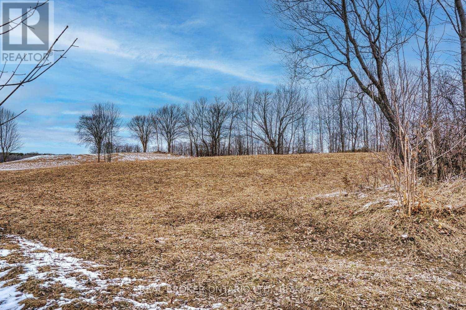 316486 6 HIGHWAY — Chatsworth, Ontario - Photo 5 of 26