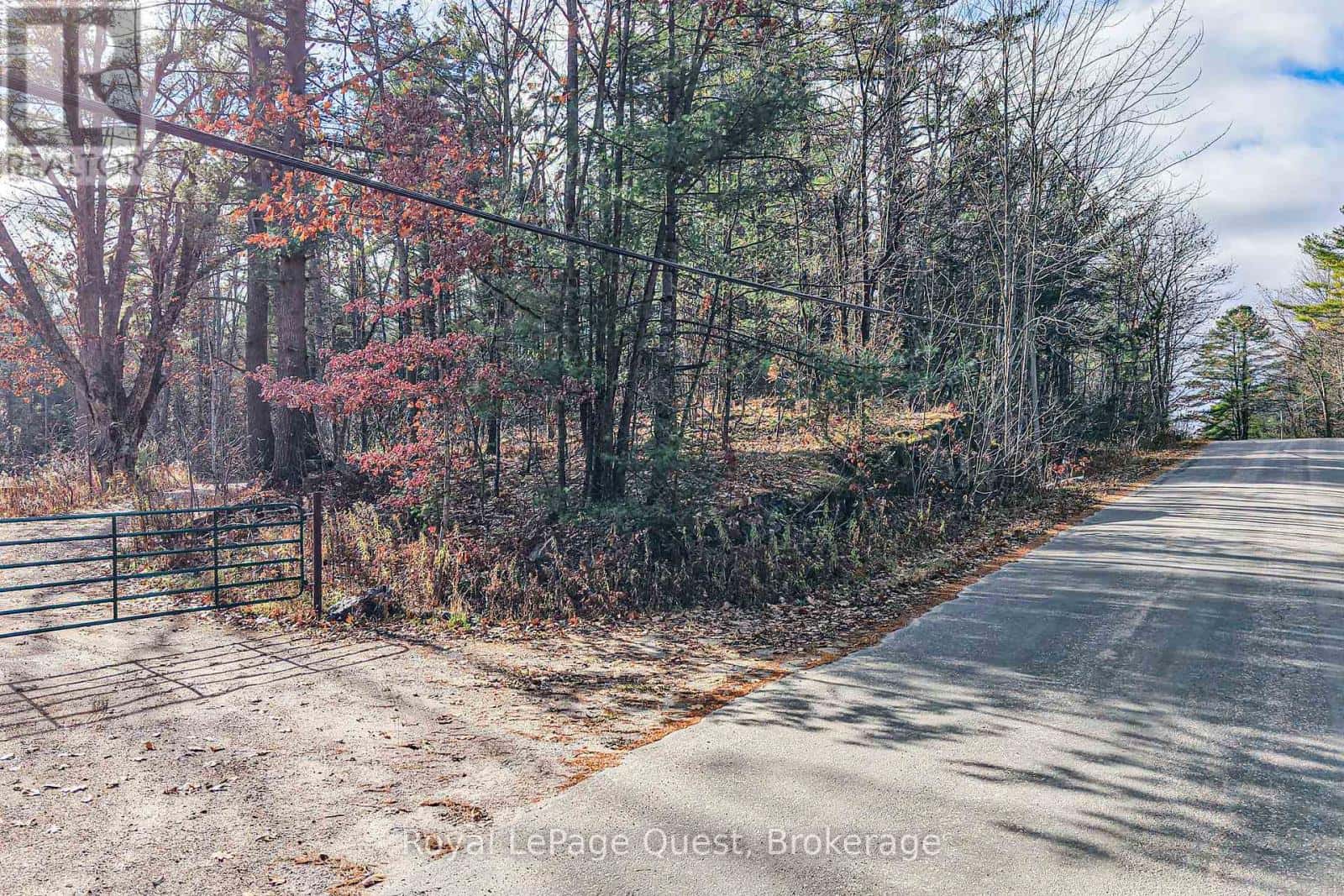 1267 GRAHAM ROAD — Gravenhurst (Morrison), Ontario - Photo 5 of 6