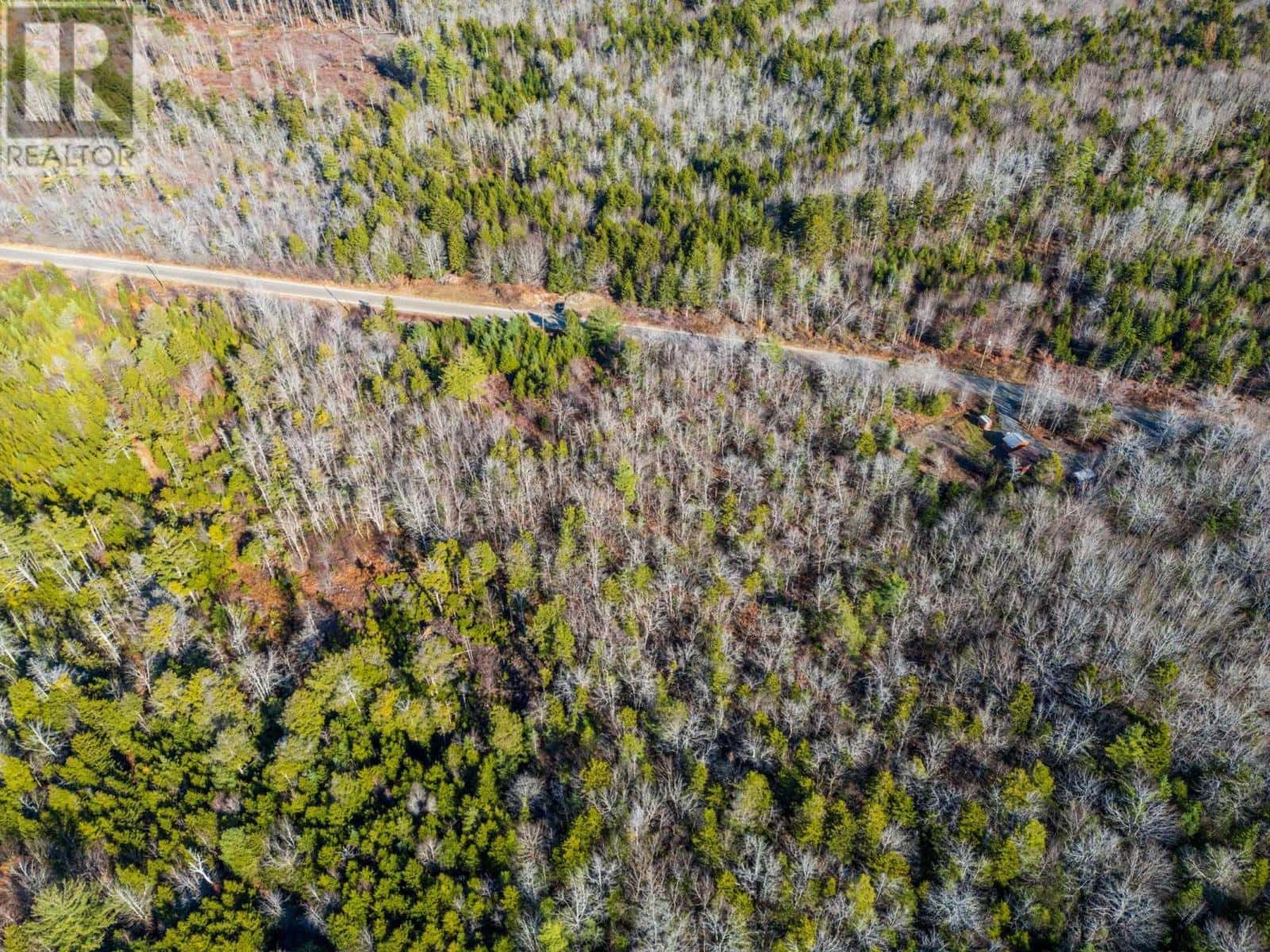 Lot Major Road — Belliveaus Cove, Nova Scotia - Photo 2 of 13