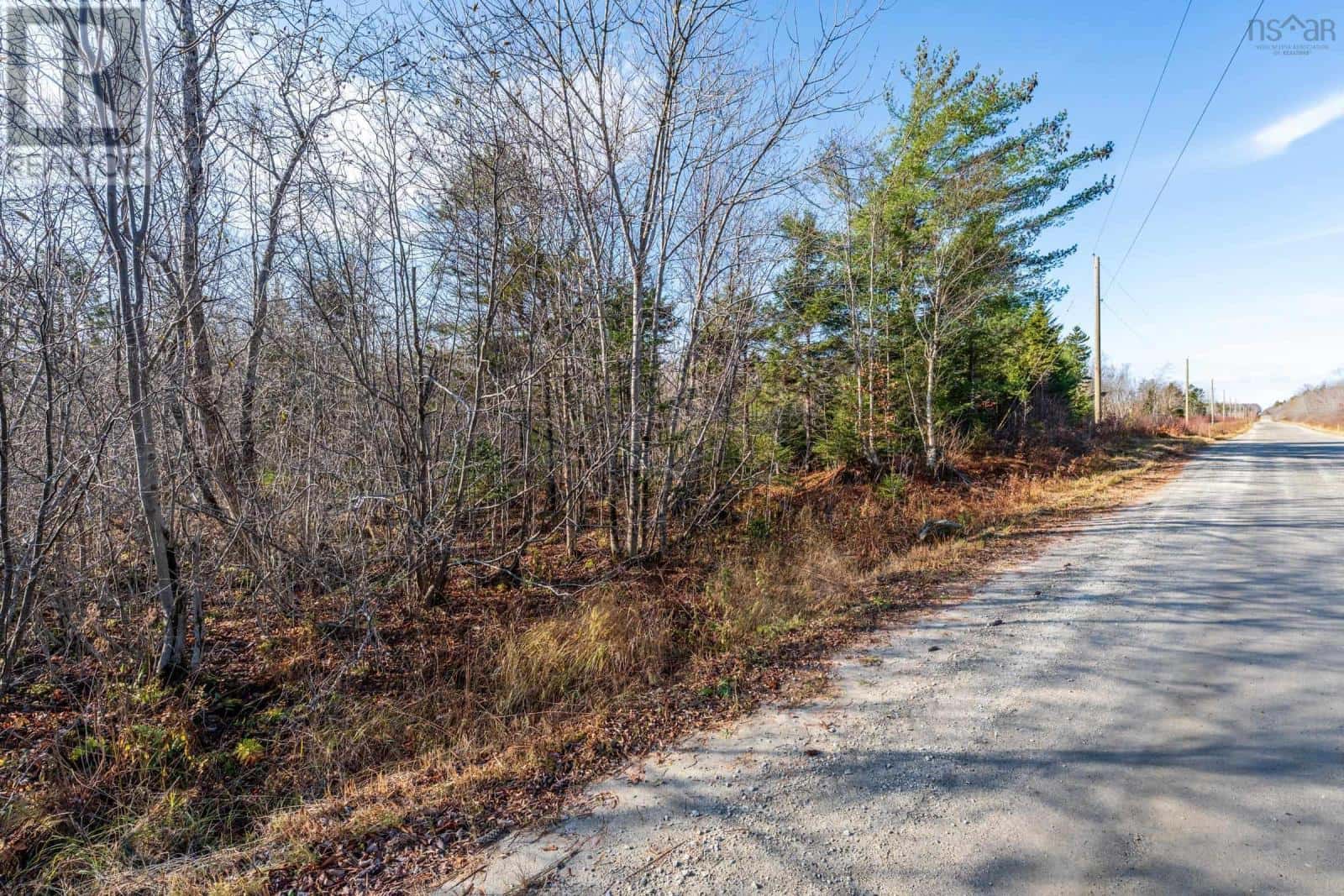 Lot Major Road — Belliveaus Cove, Nova Scotia - Photo 3 of 13