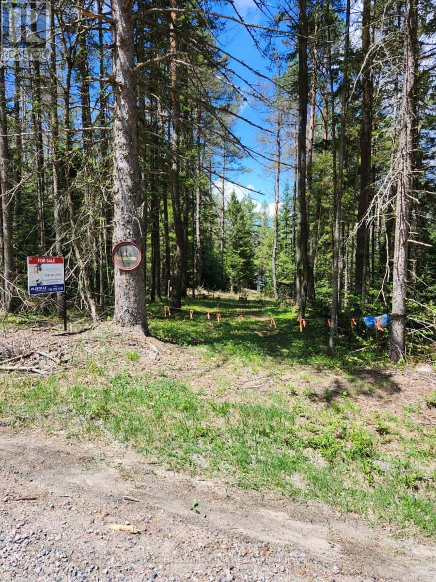 PT LOTS 24 & 25 CON 5 CONCESSION — Ryerson, Ontario - Photo 3 of 30