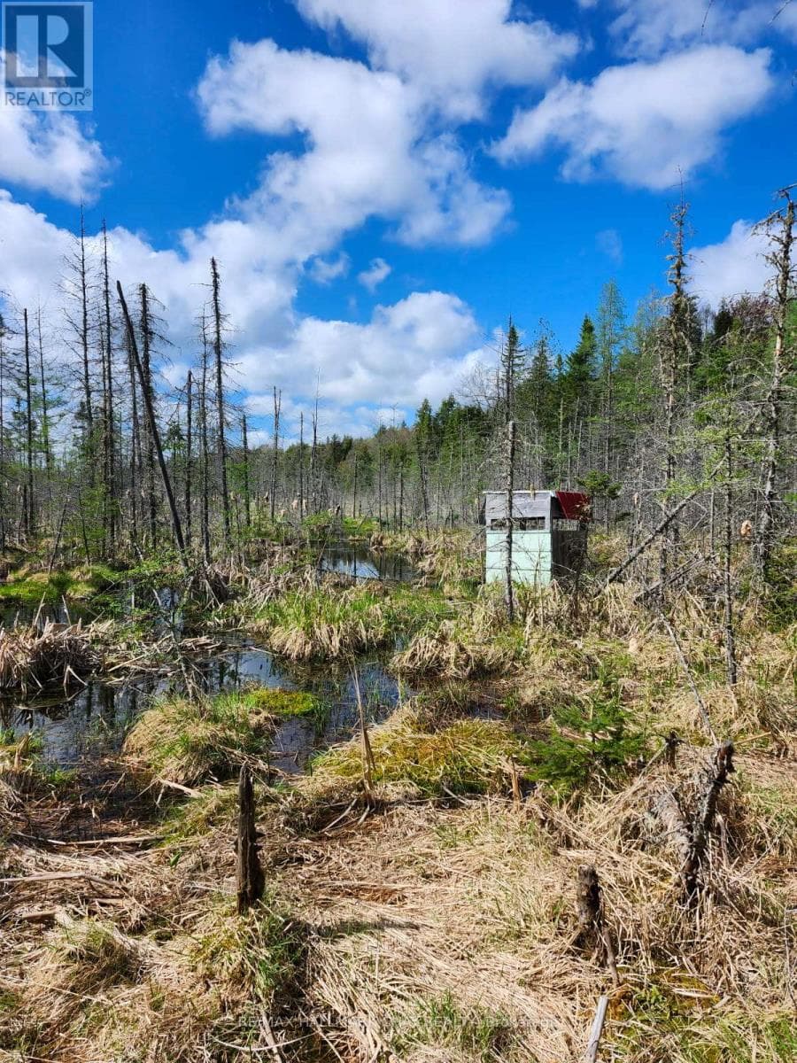 PT LOTS 24 & 25 CON 5 CONCESSION — Ryerson, Ontario - Main photo