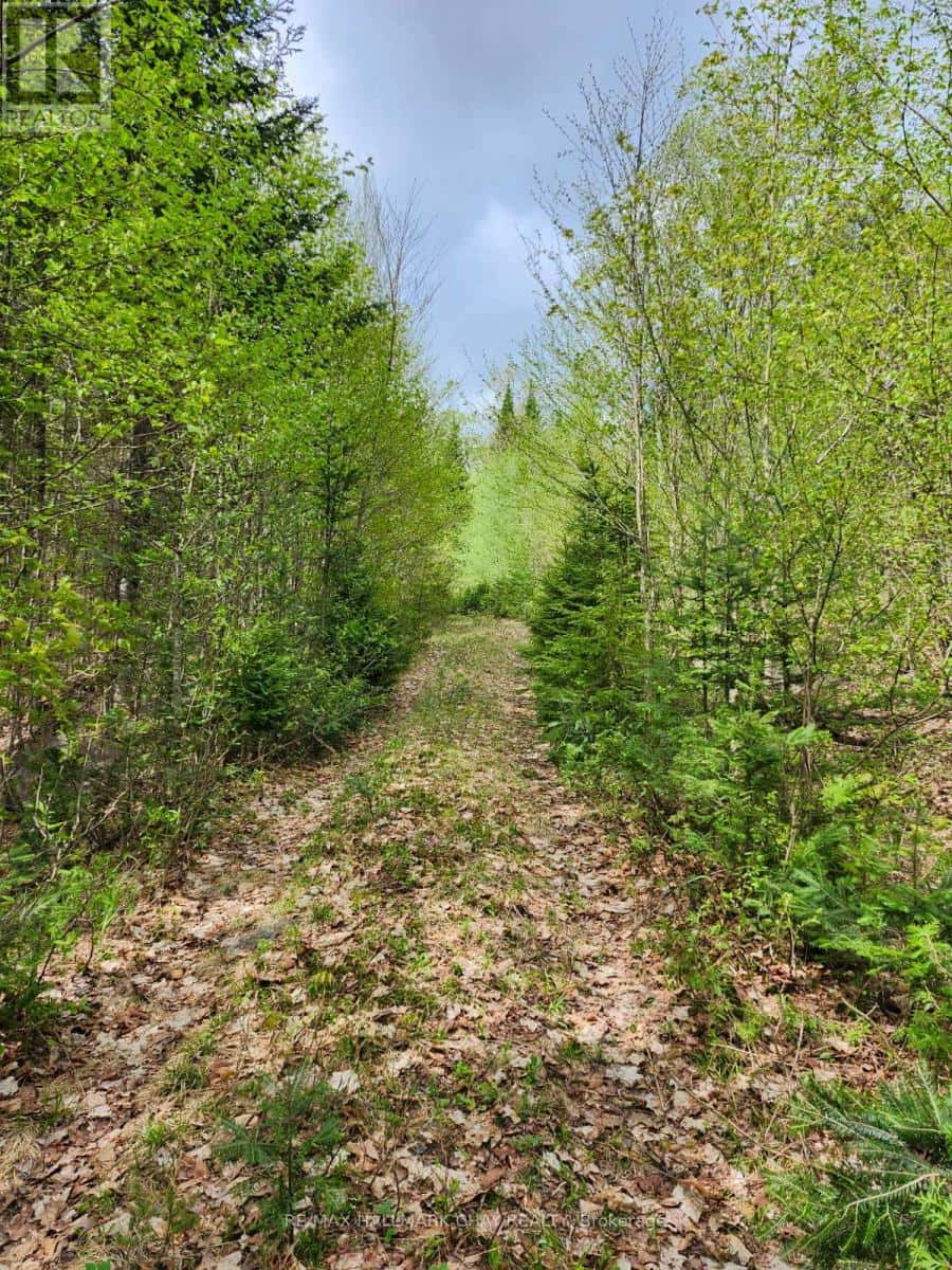 PT LOTS 24 & 25 CON 5 CONCESSION — Ryerson, Ontario - Photo 5 of 30