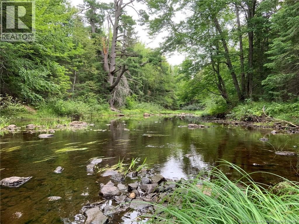 11.2 Acres South Black River — Black River Bridge, New Brunswick - Main photo