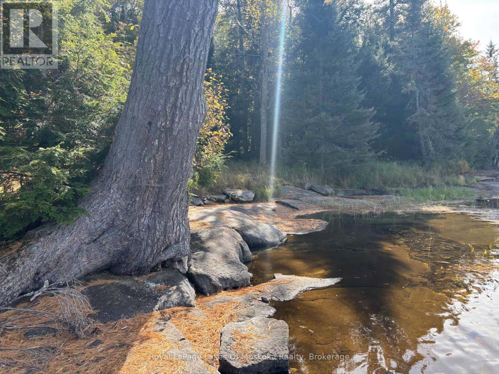 18A BIRCH LANE — Machar, Ontario - Photo 3 of 18