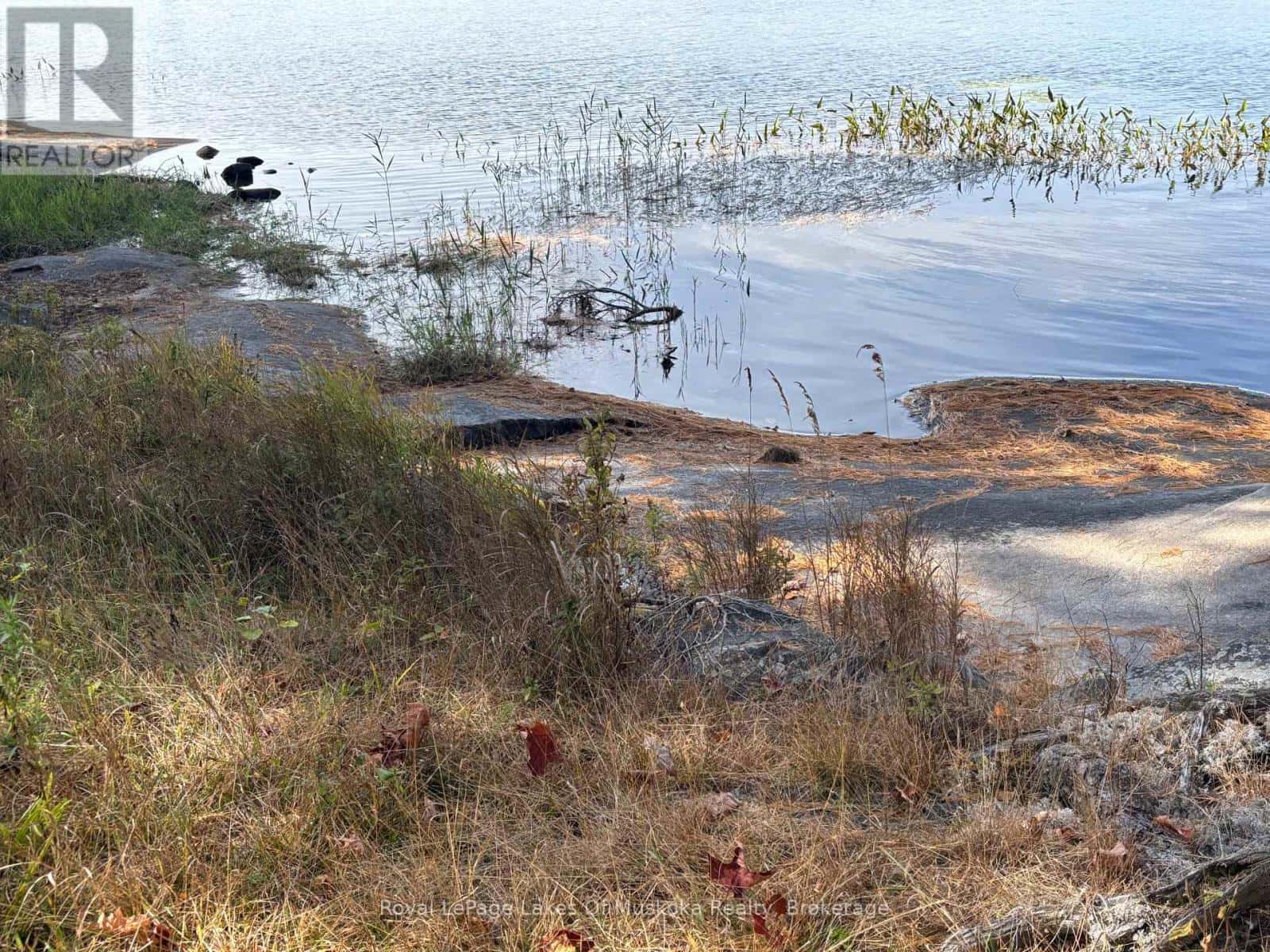 18A BIRCH LANE — Machar, Ontario - Photo 4 of 18