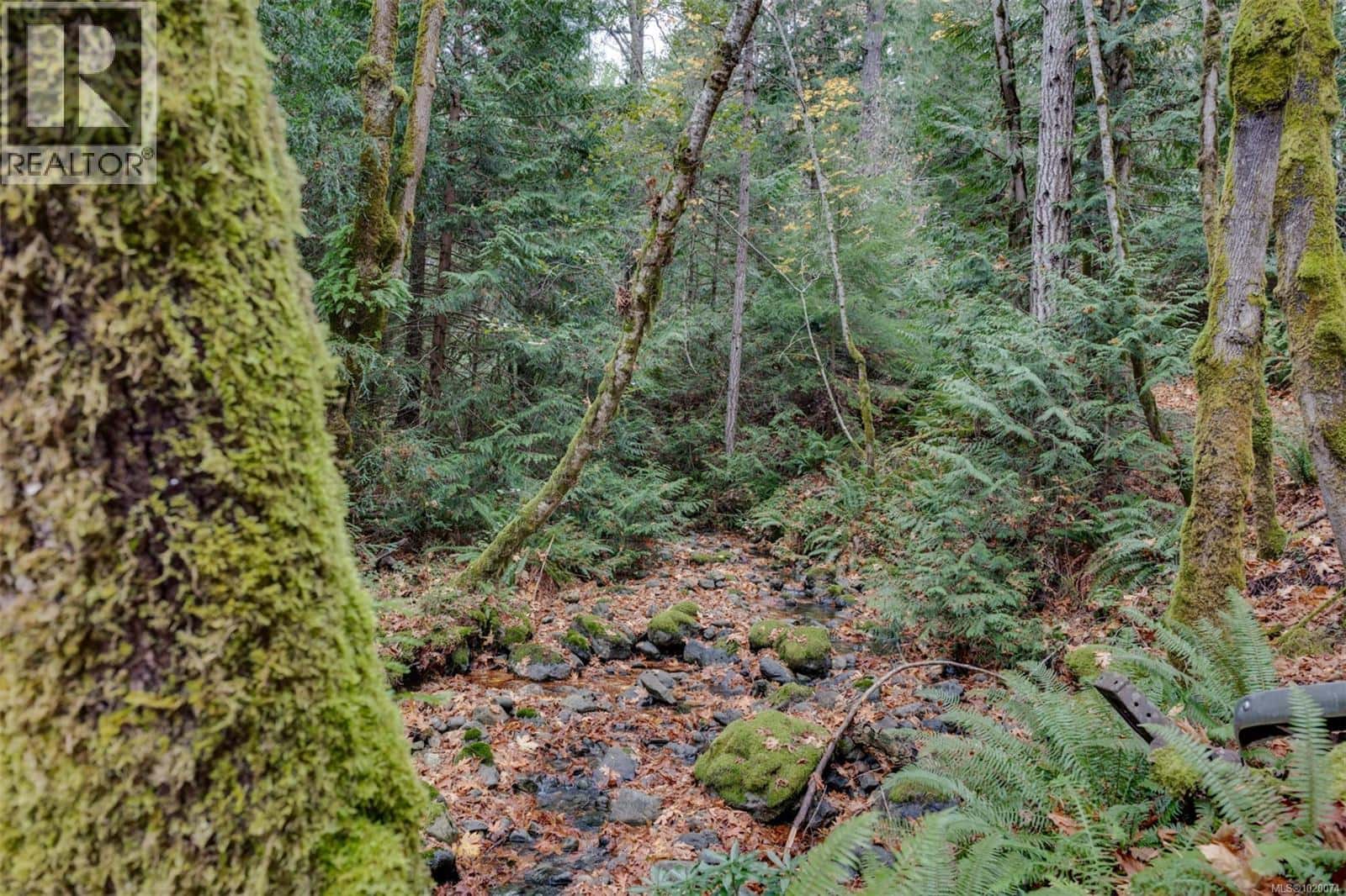 4976 Sooke Rd — Metchosin, British Columbia - Photo 5 of 43