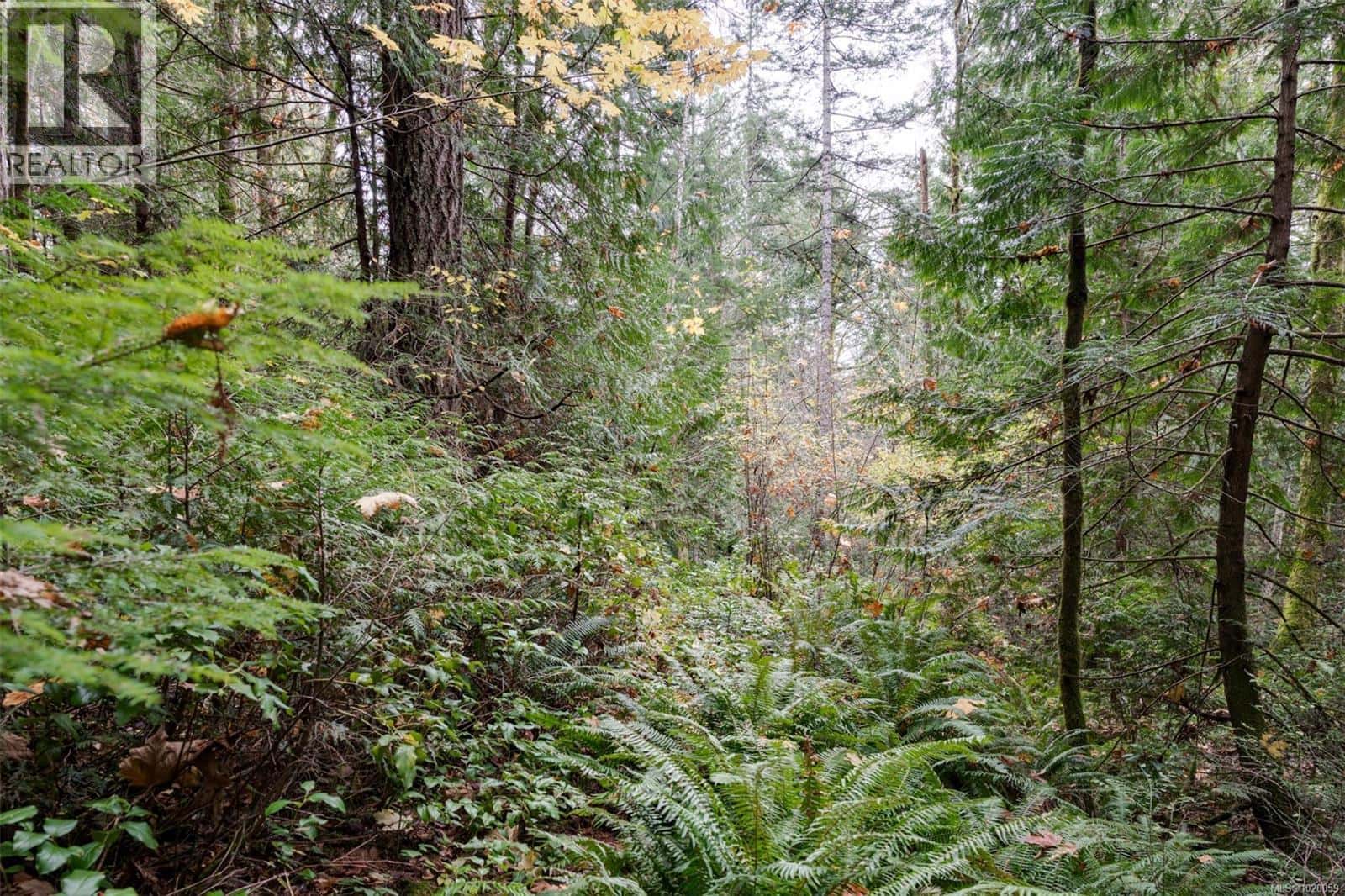 4970 Sooke Rd — Metchosin, British Columbia - Photo 2 of 38