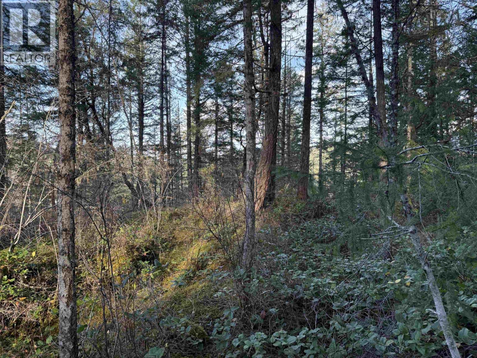 LOT B FRANCIS PENINSULA ROAD — Madeira Park, British Columbia - Photo 3 of 15