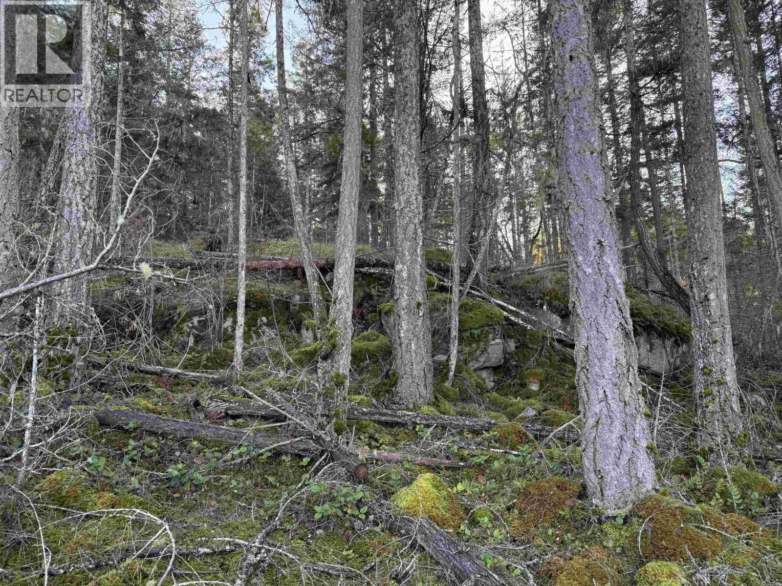 LOT B FRANCIS PENINSULA ROAD — Madeira Park, British Columbia - Main photo