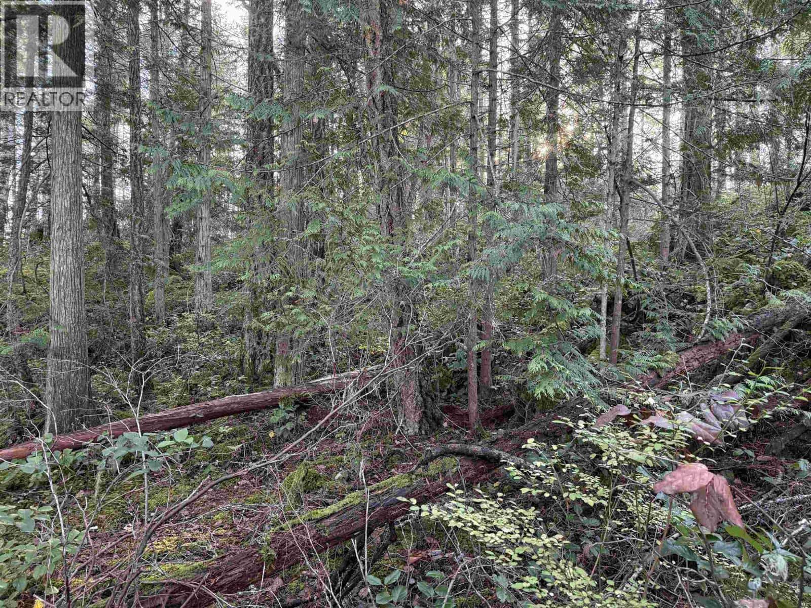 LOT B FRANCIS PENINSULA ROAD — Madeira Park, British Columbia - Photo 5 of 15