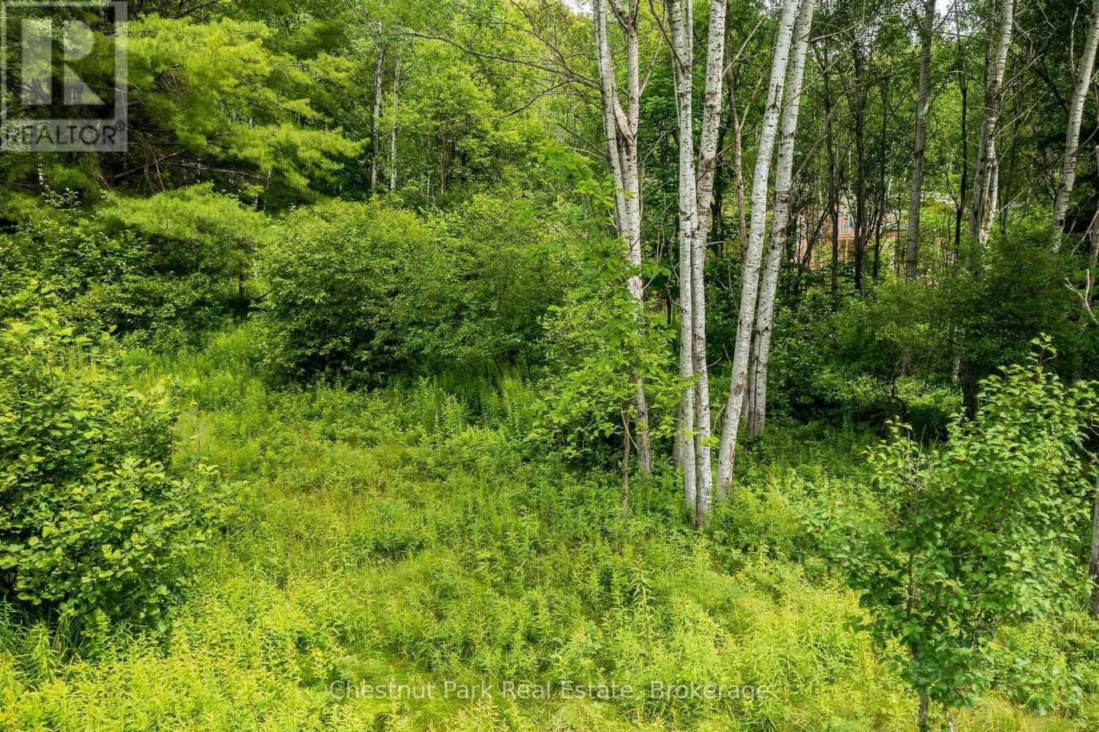 17 VERNON LANE — Huntsville (Stisted), Ontario - Photo 5 of 8