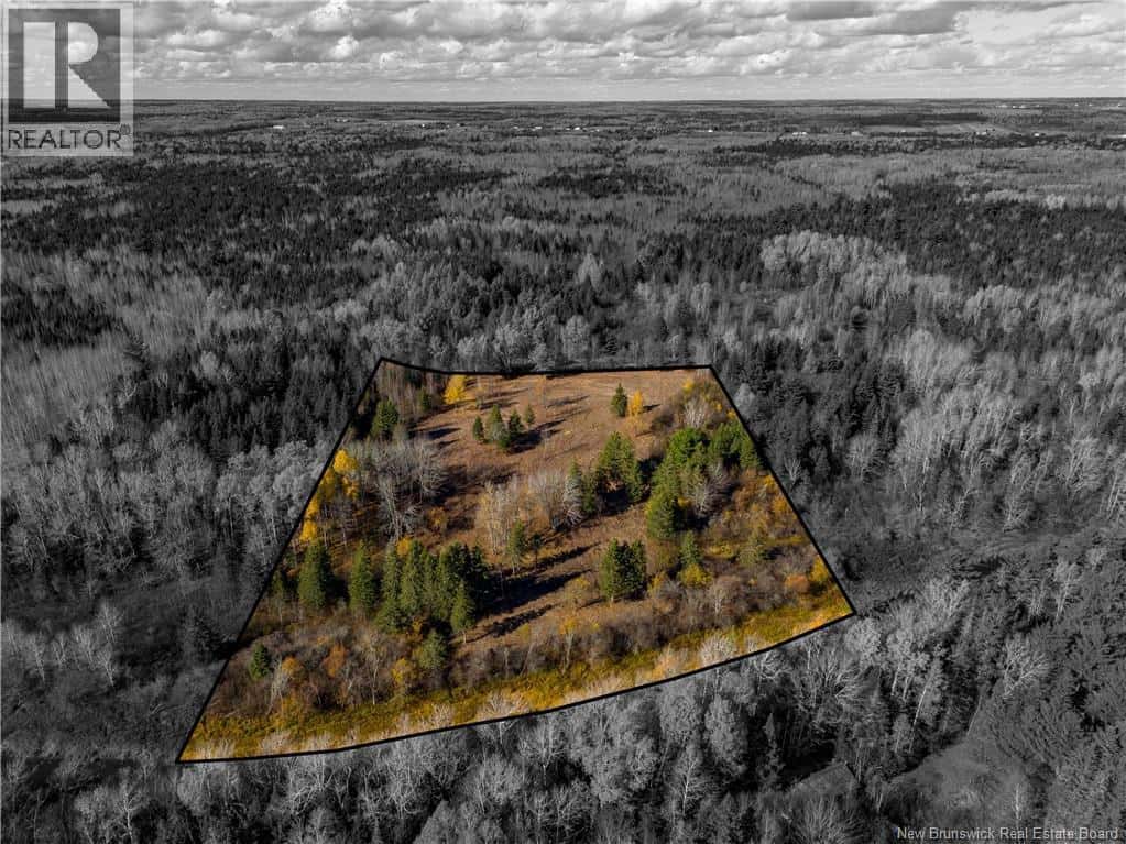 Lot C Sherwood Road — Sainte-Marie-De-Kent, New Brunswick - Photo 5 of 11