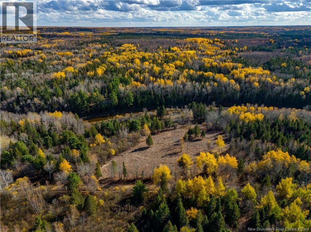 Lot B Sherwood Road — Sainte-Marie-De-Kent, New Brunswick - Photo 4 of 10