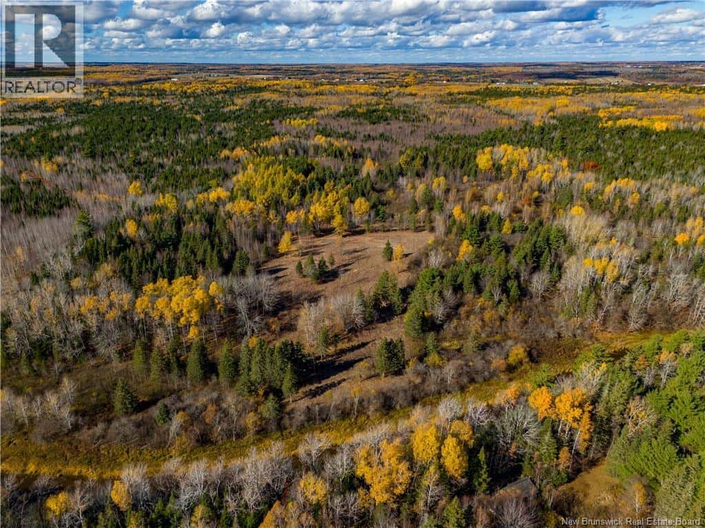 Lot B Sherwood Road — Sainte-Marie-De-Kent, New Brunswick - Photo 5 of 10