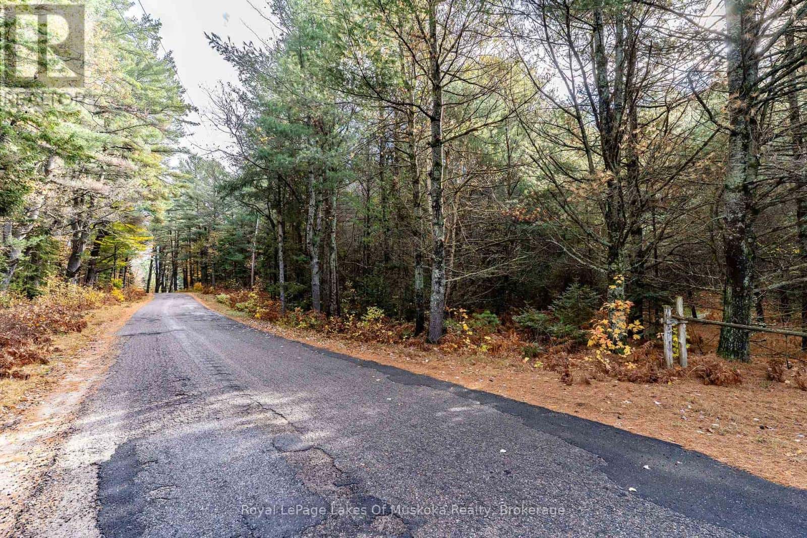 267 CARDWELL LAKE ROAD — Huntsville (Stisted), Ontario - Photo 4 of 5