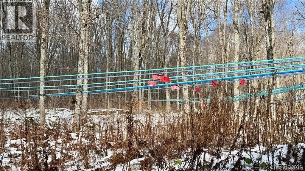 NA Woods Road — Kedgwick, New Brunswick - Main photo