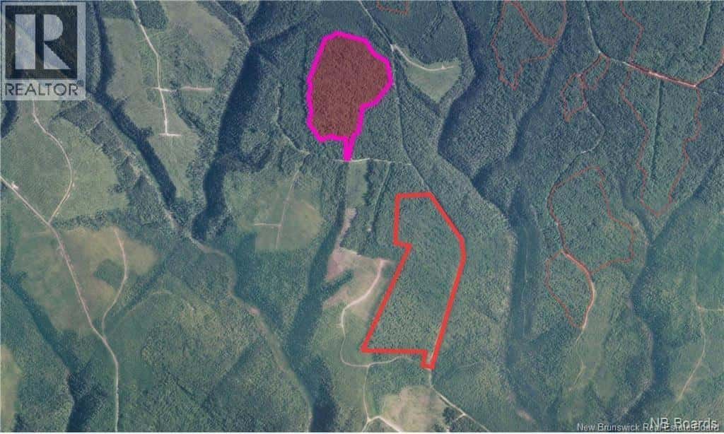 NA Woods Road — Kedgwick, New Brunswick - Photo 4 of 25