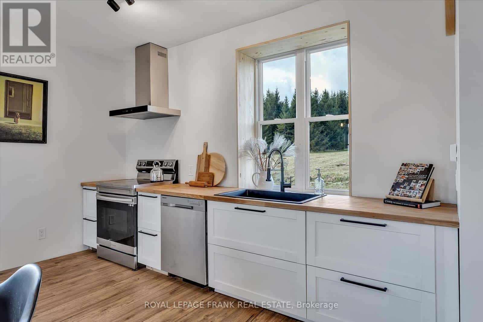 1916 PIGEON LAKE ROAD — Kawartha Lakes (Emily), Ontario - Photo 4 of 35