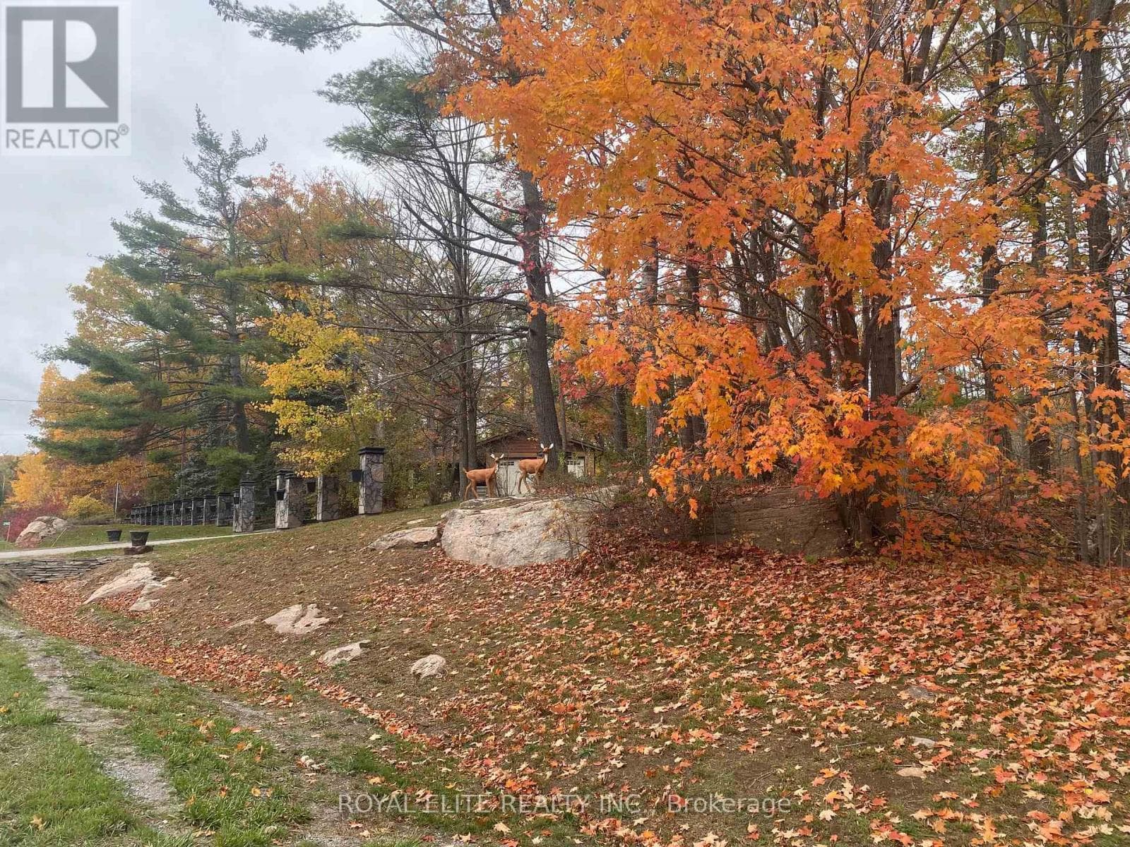 2943 COUNTY RD 36 — Trent Lakes, Ontario - Main photo