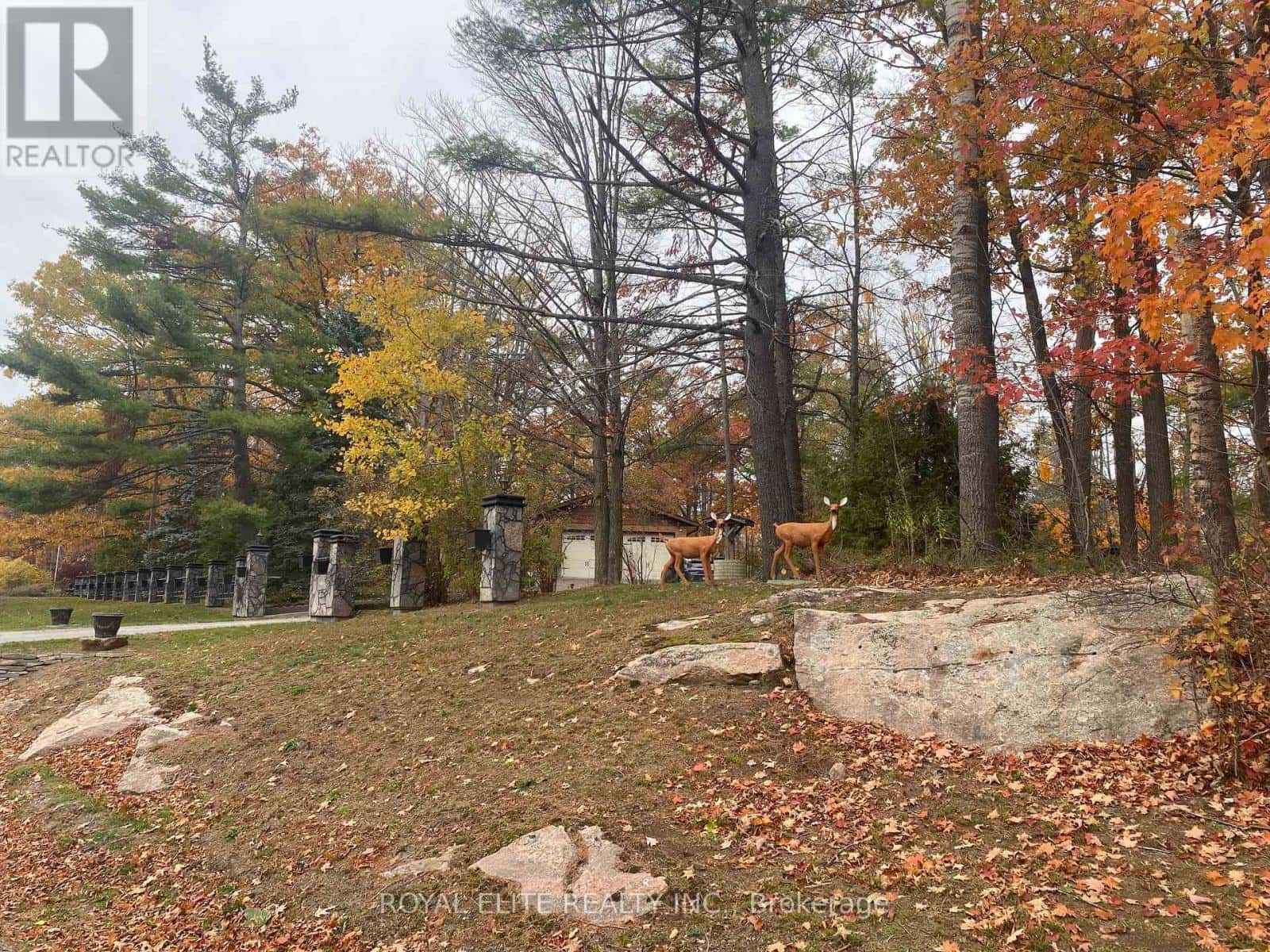 2943 COUNTY RD 36 — Trent Lakes, Ontario - Photo 3 of 36