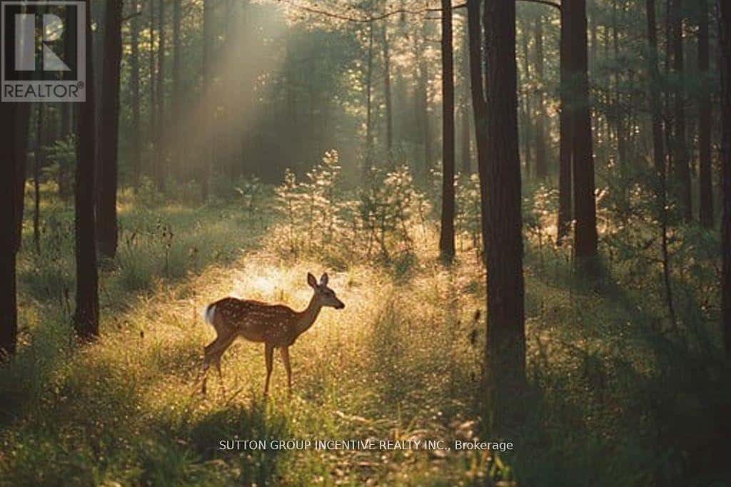 13895 COUNTY RD 27 ROAD — Springwater, Ontario - Photo 3 of 39
