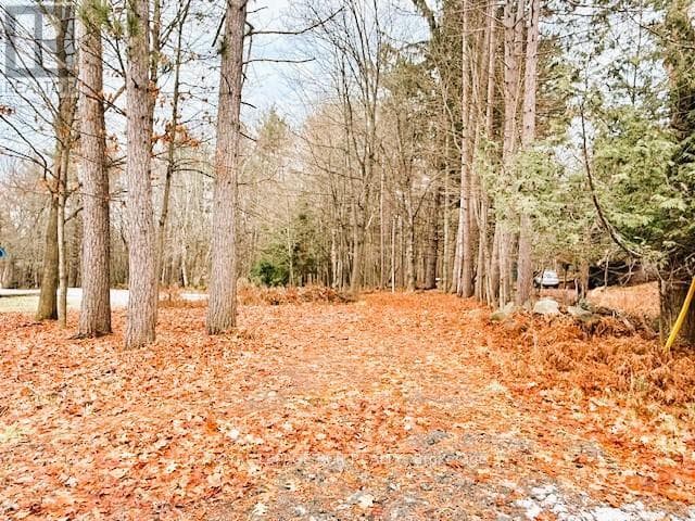 93 TOWN LINE ROAD W — Huntsville (Brunel), Ontario - Main photo