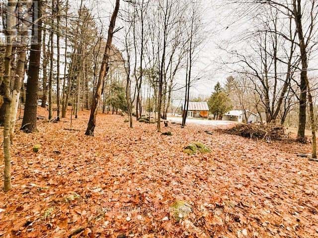 93 TOWN LINE ROAD W — Huntsville (Brunel), Ontario - Photo 4 of 5