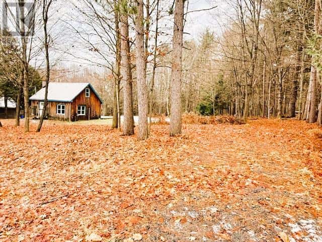 93 TOWN LINE ROAD W — Huntsville (Brunel), Ontario - Photo 5 of 5