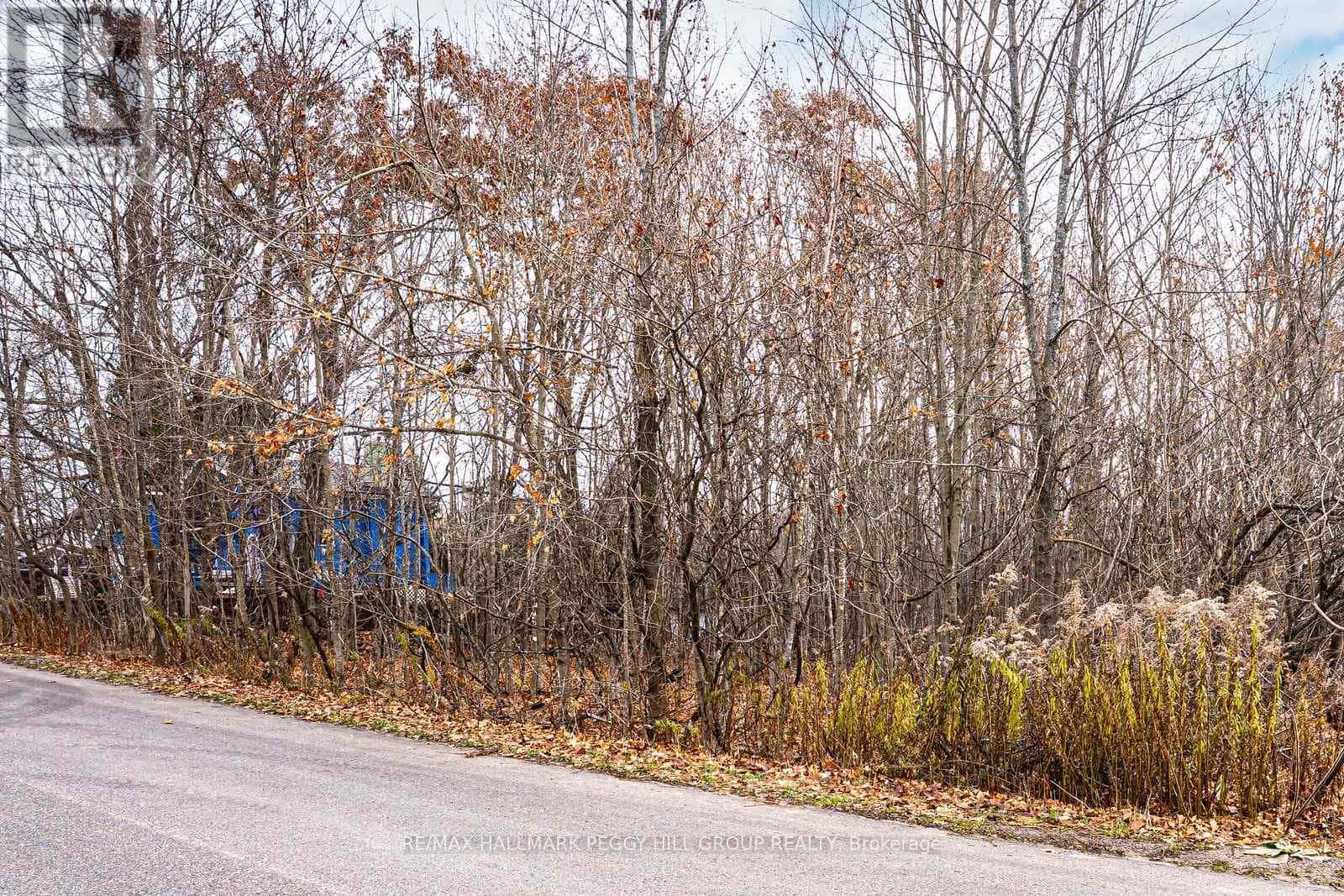 17 VALLEYVIEW DRIVE — Oro-Medonte, Ontario - Photo 4 of 6