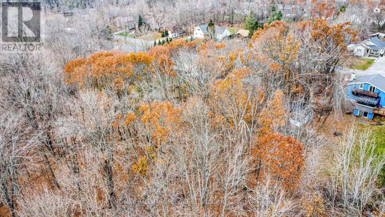 17 VALLEYVIEW DRIVE — Oro-Medonte, Ontario - Photo 5 of 6